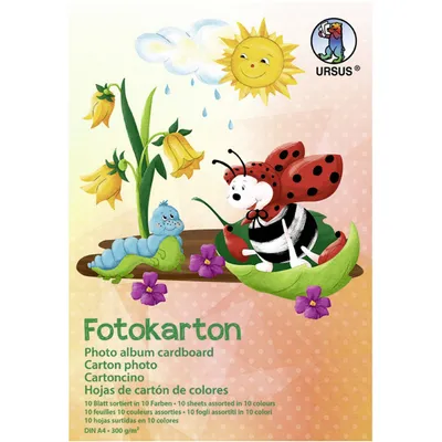 Produktbild von BüroTIPP Fotokarton A4 300g/m2 - 10 Blatt