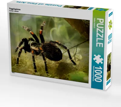 Produktbild von Calvendo Vogelspinne 1000 Teile Puzzle quer 640x480mm, Hultsch Heike; 7288307