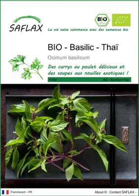 Image de SAFLAX -- Basilic - Thaï - 250 graines - Ocimum