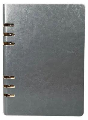 Produktbild von Ringbuch Notizbuch A5 Grau Leder Nachfüllbar 100 Seiten Beige Einsätze