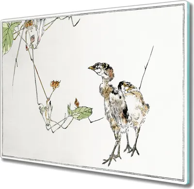 Produktbild von Coloray Hackbrett Küchenbrett Kochplattenabdeckung Schneidebrett Herdabdeckplatte 60x52 cm - Tiere Vögel Hühner