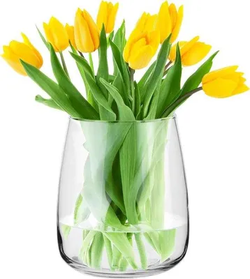 Produktbild von Glas Blumenarrangement 227 cm Hoch für Pampasgras - Runde Vasen Hochzeit Tulpenvasen Gebäudeförmig - Durchsichtige Blumenvasen - Für Tulpen Breite Öffnung Ø 19 cm