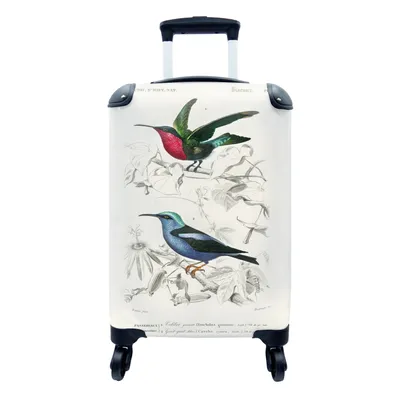 Produktbild von MuchoWow® Koffer Handgepäck Trolley Rollkoffer Kleine Reisekoffer mit 4 Rollen - Vogel - Vintage - Zweig - Cabin Size < 55x40x23 cm & 55x40x20 cm - Fotokoffer - Kabinenkoffer - Boardgepäck - Reise-Box - Reisekoffer - Reisegepäck - Koffer mit Bild - Trolley für Kinder