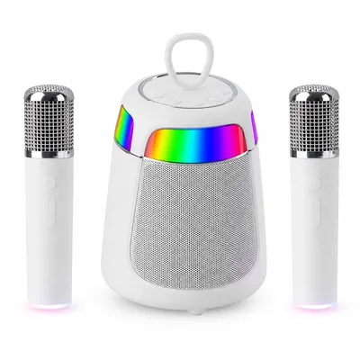 Produktbild von Bluetooth-Karaoke-Lautsprecher mit 2 Funkmikrofonen, 2,4-GHz-Übertragung, RGB-Licht, USB/TF/AUX und Gesangsentfernung