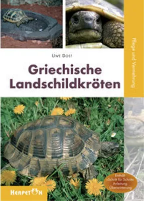 Produktbild von Griechische Landschildkröten