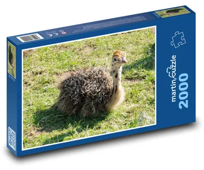 Produktbild von Puzzle 2000 Straußenjunges auf dem Bauernhof - martinpuzzle