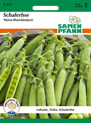 Artikelbild 1 von 'Schalerbse Kleine Rheinländerin' aus der Kategorie Schalerbsensamen