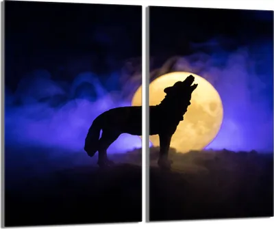 Obrázek produktu pro Skleněný kryt varné desky 2 ks 30x52, Wolf Violet