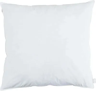 Imagen del producto de Almohadas, plumas, plumón, color blanco, 80 x 80 cm, 2 unidades