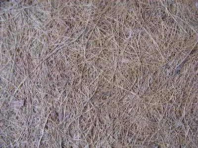 Produktbild von Kokosfasermatte 100 cm x 50 cm, 1 cm dick, 3er Pack