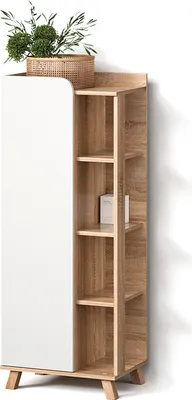 A tall, narrow cabinet with a white door on the left and open shelves on the right, decorated with a plant in a basket on top.