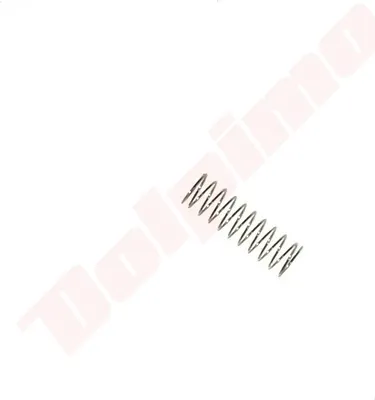 Image de Ressort de soupape de carburateur pour Walbro 28X5Mm ( 98-270 )