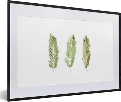 Produktbild von MuchoWow® Gerahmtes Poster Tropisch - Blatt - Weiß 60x40 cm - Poster mit Schwarzem Bilderrahmen Wandposter Rahmen Foto Bilder - Schlafzimmer - Plakat in Rahmen - Drucken