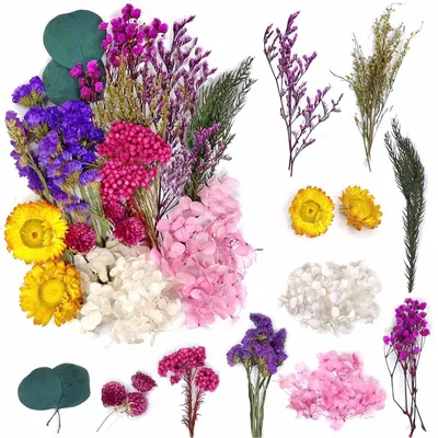 Trockenblumen-Set, 2er-Pack, bunt, zum Basteln und Dekorieren
