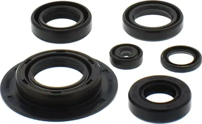 Immagine prodotto di Kit guarnizioni paraoli motore TOURMAX OSL-105R per Honda CX