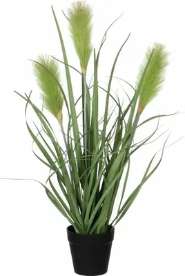 Produktbild von Mica Decorations Kunstliche Pflanze - Ziergras - grun - im Topf - 53 cm