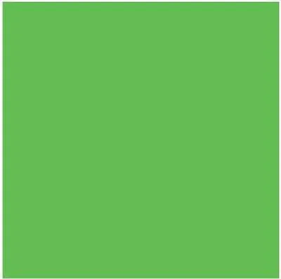 Immagine prodotto di HEYDA cartoncino fotografico 204716254 50x70cm 300g verde erba 25 pz./confezione.