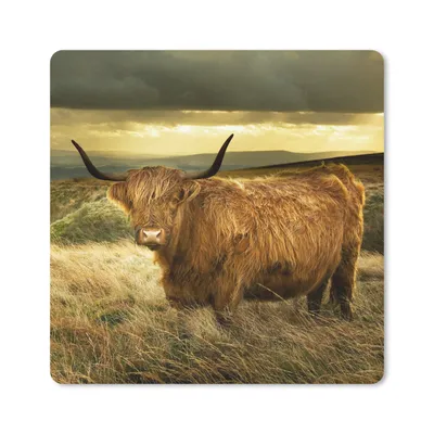 Produktbild von MuchoWow® Mauspad Mousepad Schottische Highlander - Licht - Natur 20x20 cm - Mousepads - Maus Mat - Pad - Mausunterlage - Desk Mat - Bureauartikeln