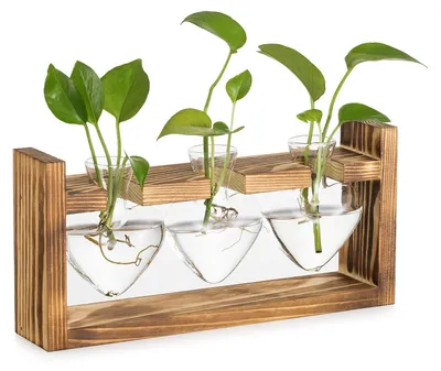 Hydrokultur-Kweekstation, 3 Herzvasen mit Holzrahmen, Glas
