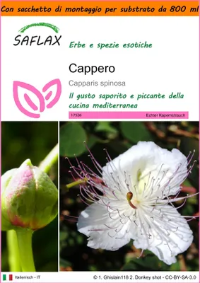 Immagine prodotto di SAFLAX Garden in the bag - Cappero - 25 semi - Capparis