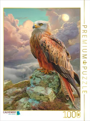 Produktbild von CALVENDO Puzzle Greifvögel | 1000 Teile Lege-Größe 64x48cm Foto-Puzzle für glückliche Stunden