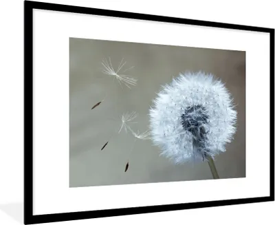 Produktbild von MuchoWow® Gerahmtes Poster Löwenzahn - Blume - Pflanze 90x60 cm - Poster mit Schwarzem Bilderrahmen Wandposter Rahmen Foto Bilder - Wanddekoration - Fotos