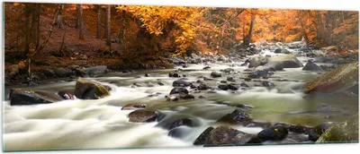 Produktbild von Bilder auf glas - Stream Herbst Forrest Berg - 140x50cm - Glasbilder - Wandbilder - Kunstdruck - zum Aufhängen bereit - Wanddekoration aus Glas - Glas Bilder - Wandbild auf Glas - GAB140x50-2703