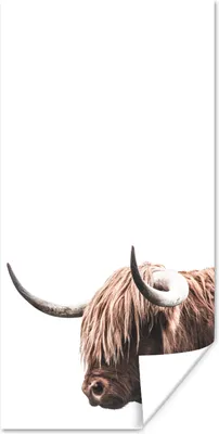 Produktbild von MuchoWow® Poster Schottischer Highlander - Kopf - Weiß 20x40 cm - Plakat - Foto