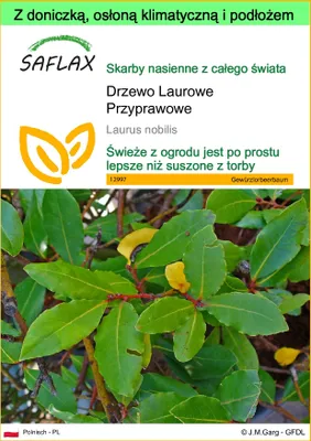 Zdjęcie produktu dla SAFLAX - Garden to go - Drzewo Laurowe Przyprawowe - 6 Nasiona - Z doniczką, pokrywą klimatyczną i podłożem do uprawy - Laurus nobilis