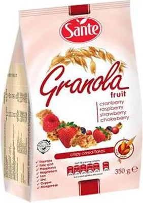 GRANOLA OWOCOWA 350G SANTE