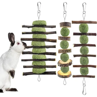 Immagine prodotto di Giocattoli da masticazione per piccoli animali: confezione da 3 pezzi, composta da fieno Timothy, torta di erba e bastoncini di mela