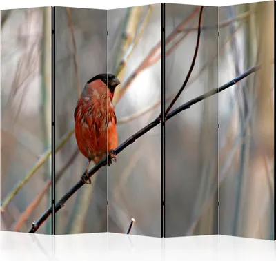 Produktbild von Akusticher Raumteiler Vögel Gimpel Foto Paravent 225x172 cm beidseitig auf Vlies-Leinwand bedruckt Akustikschaum Trennwand Spanische Wand Sichtschutz Home Office Natur Blumen Baum g-C-0179-z-c