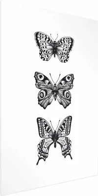 Produktbild von Posterpapier Poster - Three Butterflies 29.7x42 cm Tiere g-B-0116-ao-a