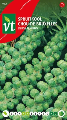 Immagine prodotto di Cavoletti di Bruxelles Steadia F1 semi ibridi - Circa 0,3 gr | VT_962