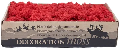 Produktbild von Deko Moos Rot Islandmoos 400g Bastelbedarf Tischdeko Naturmaterial