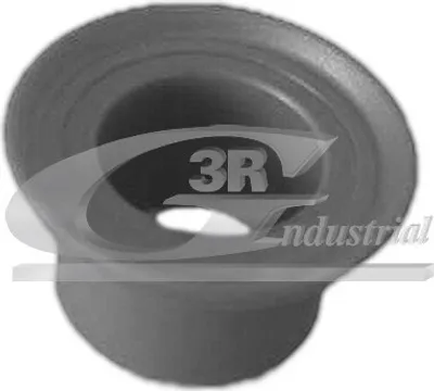 Produktbild von 3RG Buchse Wählstange / Schaltstange 24607 für RENAULT CLIO II (BB0/1/2, CB0/1/2) KANGOO (KC0/1) Scénic I (JA0/1, FA0) MEGANE I (BA0/1)