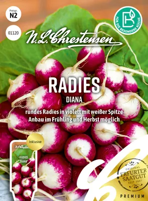 Produktbild von Radies Diana | Radieschensamen von N.L. Chrestensen
