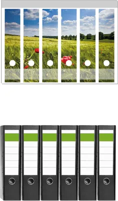 Produktbild von Wallario 6 Stück breite Ordner inkl. Klebeetiketten mit Motive Mohnblumenwiese auf grüner Wiese unter blauem Himmel -  Set mit Rückenschildern / Ordnerrücken Stickern
