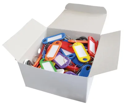 Produktbild von WEDO Schlüsselanhänger 100 Stück, farbig sortiert – mit 18 mm Ring, beschriftbar