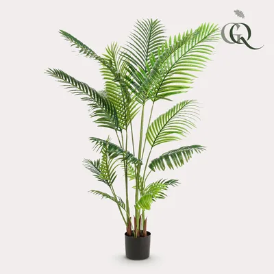 Image de Green boutiQ - Plante artificielle - Howea Forsteriana - 160 cm - Vert - Sans entretien - Haute qualité