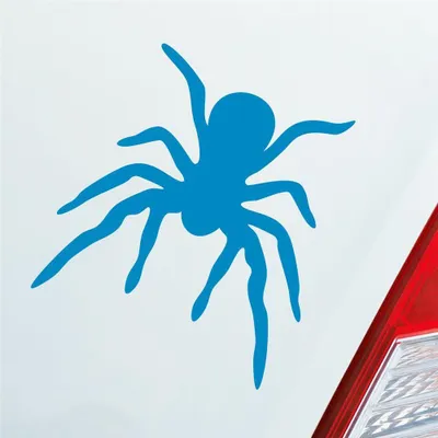 Produktbild von Auto Aufkleber Spinne Spider giftig Tier Ekel 10x10,5 cm Hellblau Sticker Heckscheibenaufkleber