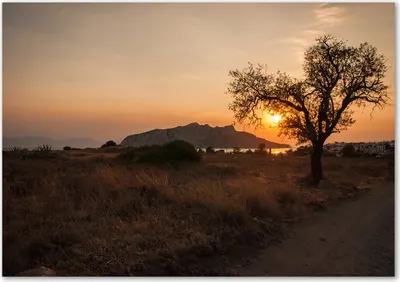 Produktbild von Tulup® Leinwandbild - 100x70 cm - Wandkunst - Drucke auf Leinwand - Leinwanddruck  - Landschaften - Braun - Sonnenuntergang