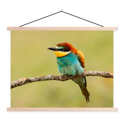 Produktbild von MuchoWow® Textilposter Vogel - Bienenfresser - Tiere 40x30 cm mit holzfarbenen Rahmen - Bilder