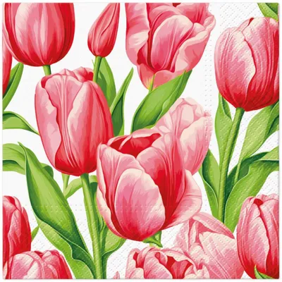 Produktbild von 20 Servietten Tulip Time - Tulpenzeit rosa 33x33cm