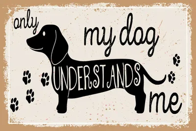 Produktbild von vianmo Blechschild 20x30 cm only my dog understands me Dackel