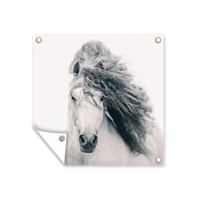 Produktbild von Gartenposter - alt-Platzhalter: pferd-28.jpg - 50x50 cm