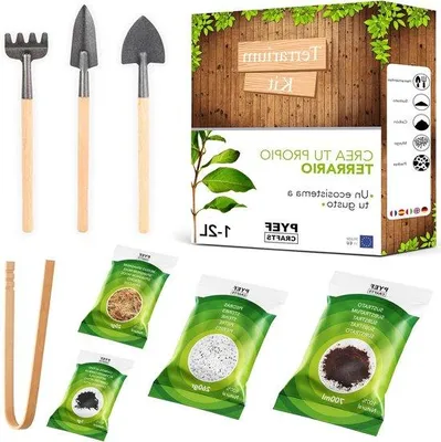 Zdjęcie produktu dla Zestaw do małego szklanego terrarium