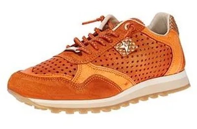 Produktbild von Cetti C-848 SRA V25-26 - Damen Sneaker - Used-Tin-Ambar