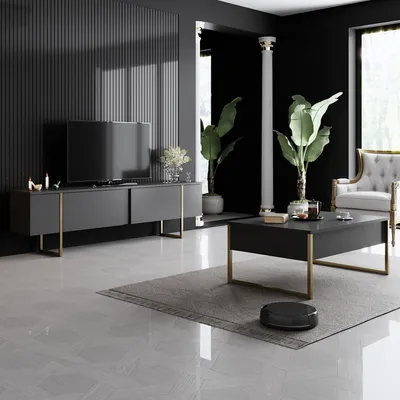Image de Skye Decor, ensemble Luxe - Anthracite, doré, ensemble de meubles de salon, anthracite, panneaux de particules 100 % mélaminés, 180 x 30 x 47 cm
