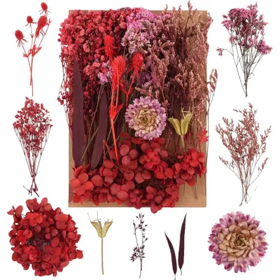 Image de Lot de fleurs séchées rouges pour la création et la décoration, mélange de fleurs naturelles pour la résine époxy, le scrapbooking et les cartes